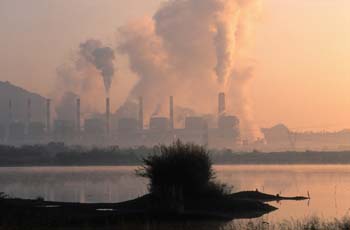 A Toxic Plume?