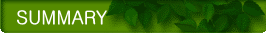 SUMMARY