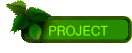 PROJECT