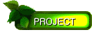 PROJECT