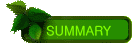 SUMMARY