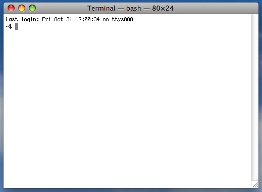 An terminal window at the Unix prompt