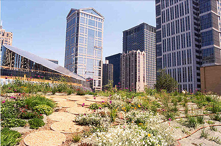 What are Rooftop Gardens? - Korotkin Associates